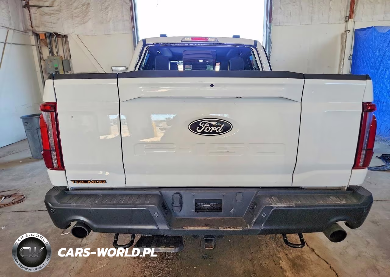 2025 Ford F150 Tremor VIN:1FTFW4L54SFA63500 - 6