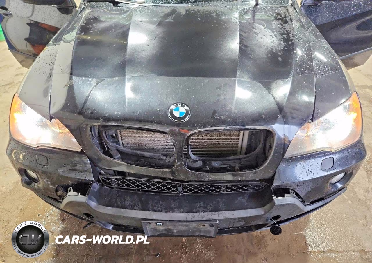 2010 BMW X5 xDrive35D VIN:5UXFF0C59ALT76002 - 12