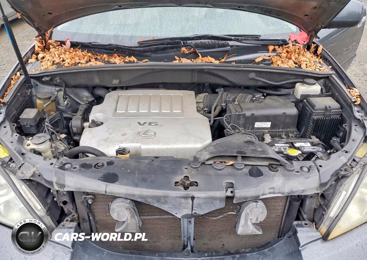 2008 Lexus Rx 350 VIN:2T2GK31U28C029640 - 12