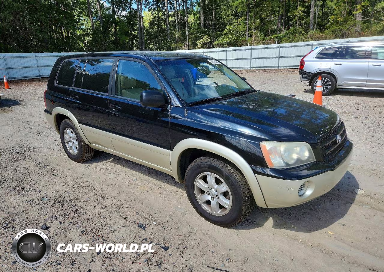 2002 Toyota Highlander Limited VIN:JTEGF21A820033858 - 4