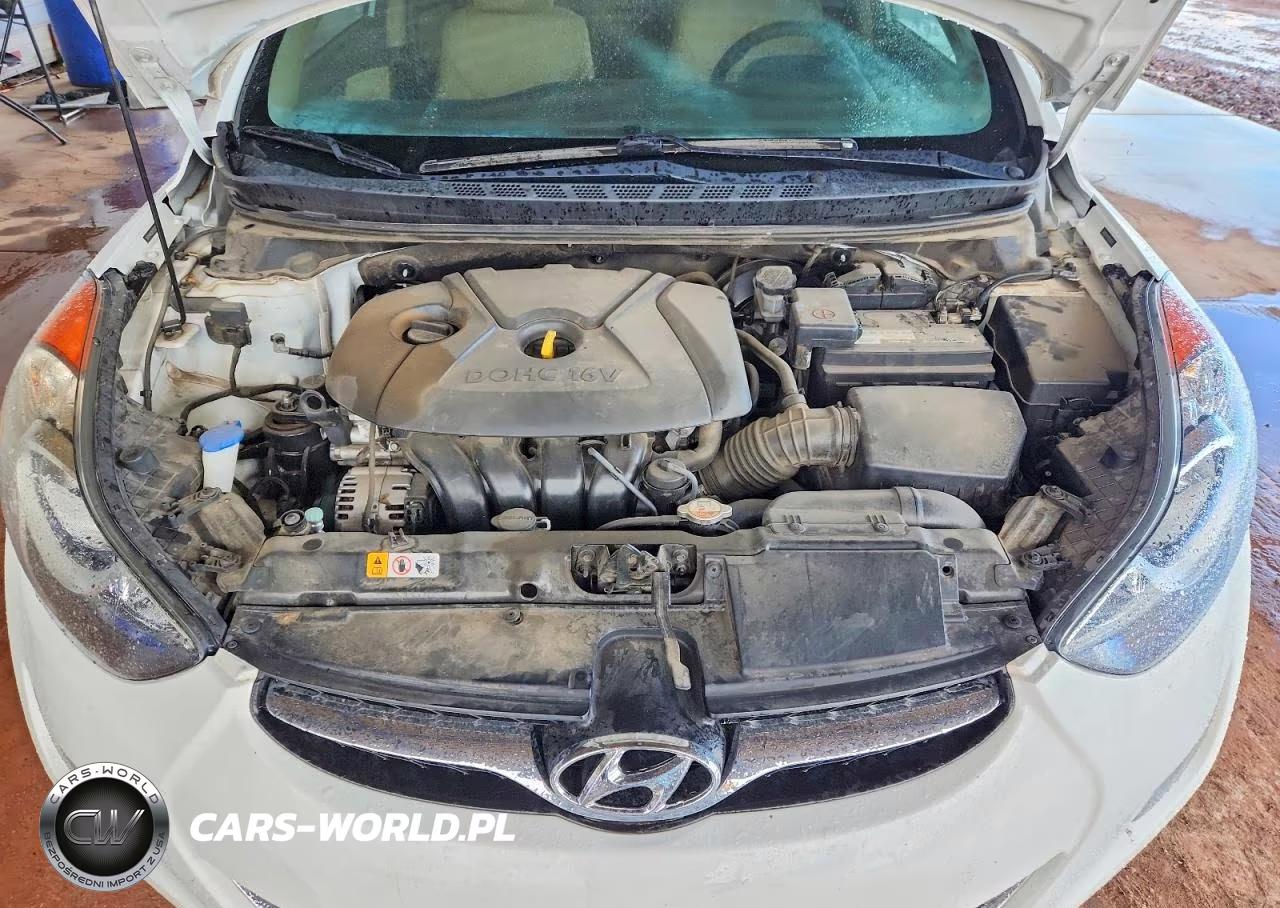 2013 Hyundai Elantra Gls VIN:5NPDH4AE0DH295525 - 11