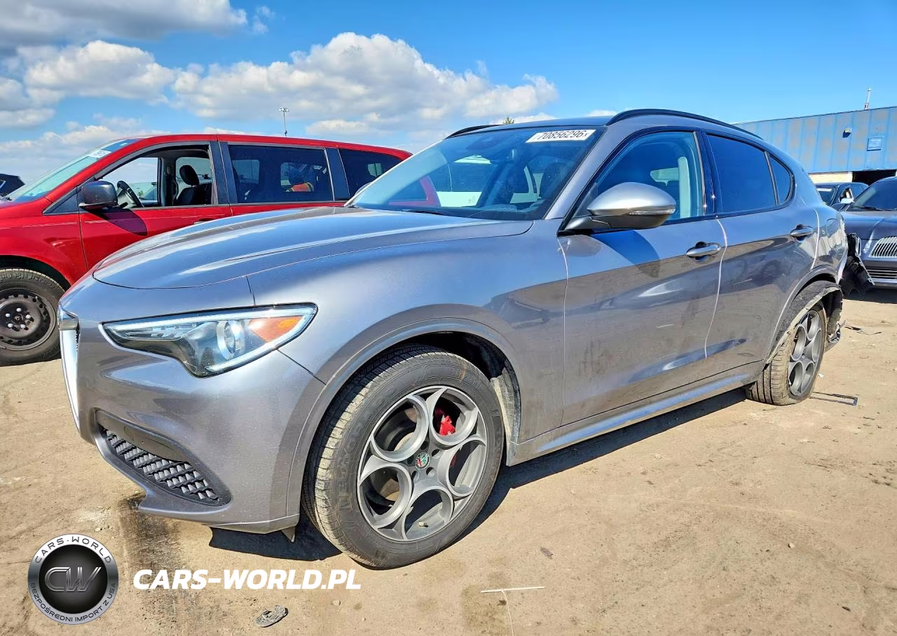 2020 Alfa Romeo Stelvio VIN:ZASPAKAN8L7C88838 - 1