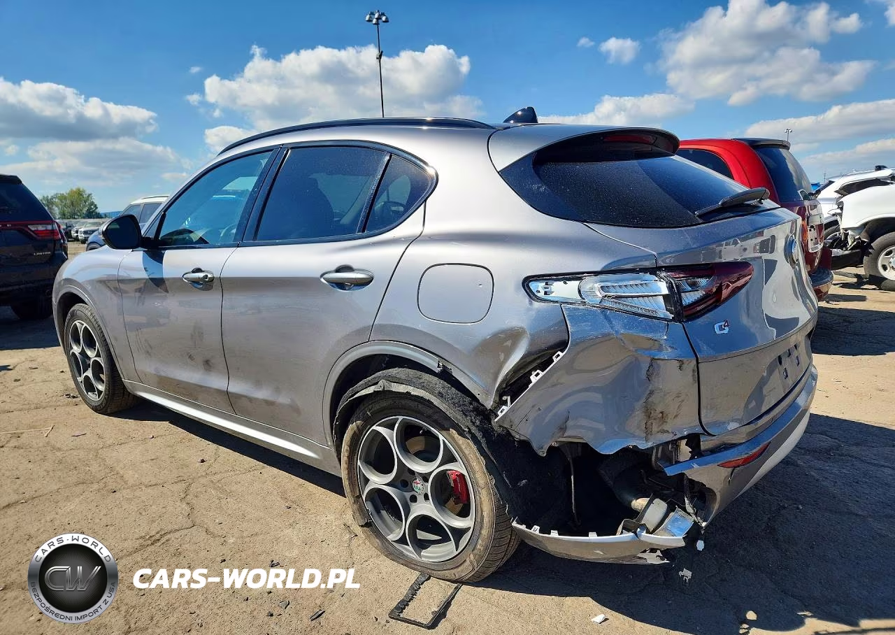 2020 Alfa Romeo Stelvio VIN:ZASPAKAN8L7C88838 - 2