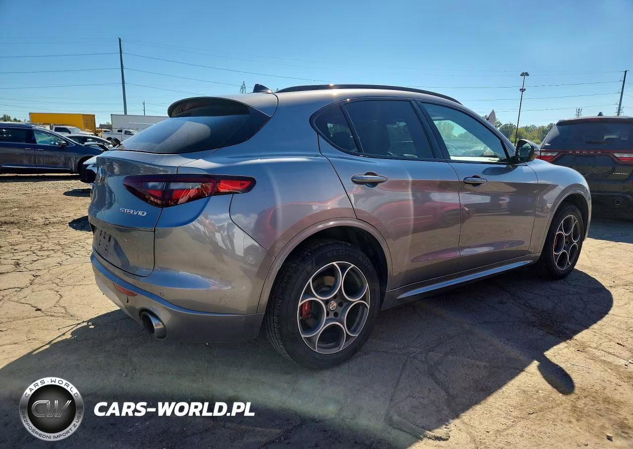 2020 Alfa Romeo Stelvio VIN:ZASPAKAN8L7C88838 - 3