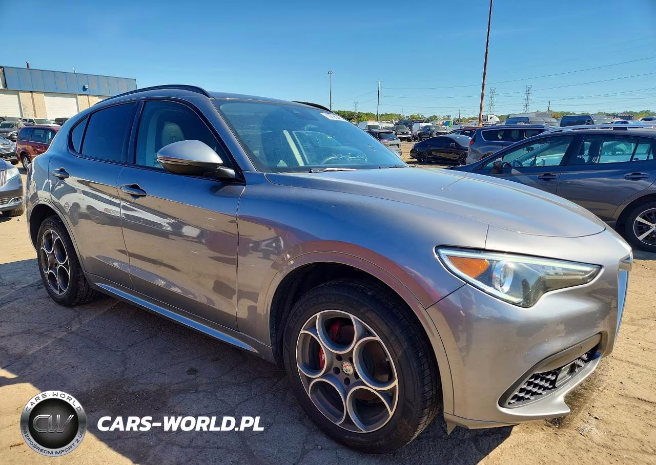 2020 Alfa Romeo Stelvio VIN:ZASPAKAN8L7C88838 - 4