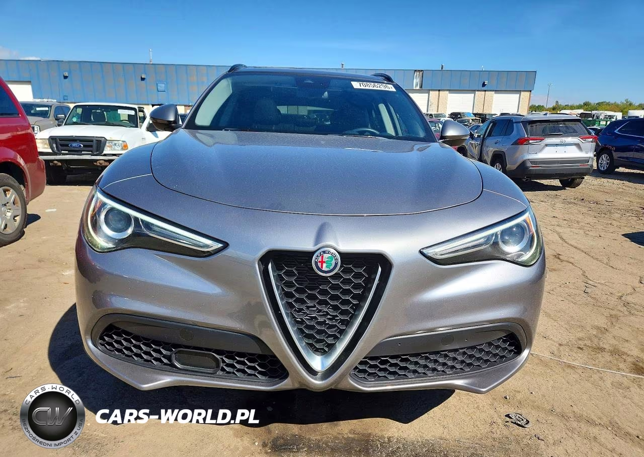 2020 Alfa Romeo Stelvio VIN:ZASPAKAN8L7C88838 - 5