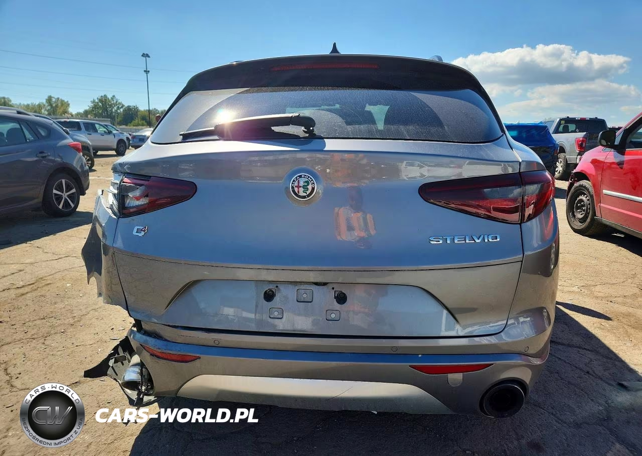 2020 Alfa Romeo Stelvio VIN:ZASPAKAN8L7C88838 - 6
