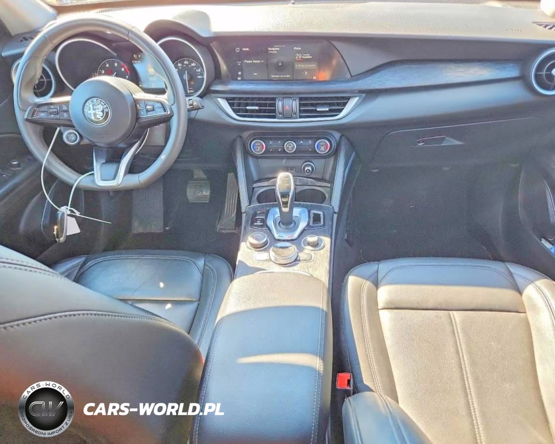 2020 Alfa Romeo Stelvio VIN:ZASPAKAN8L7C88838 - 8