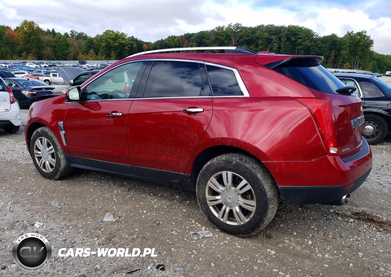 2011 Cadillac Srx Luxury Collection VIN:3GYFNDEY8BS538730 - 2