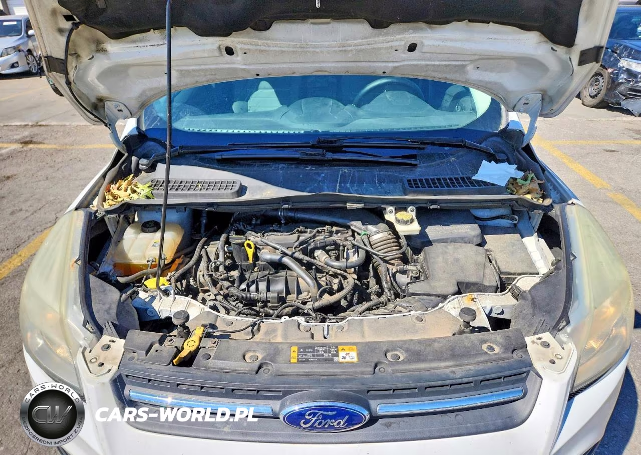 2013 Ford Escape Se VIN:1FMCU0GX2DUD03778 - 12