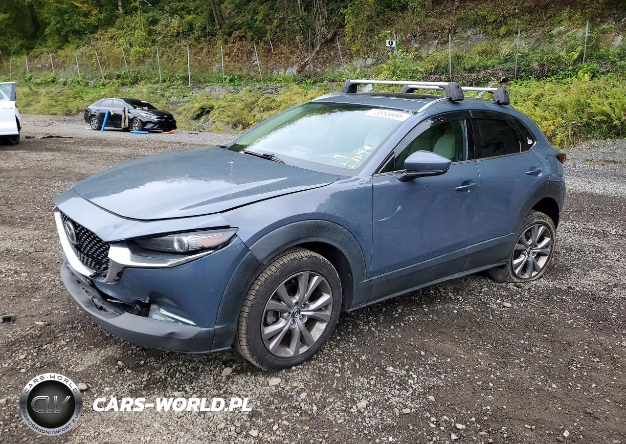 2021 Mazda Cx-30 Premium