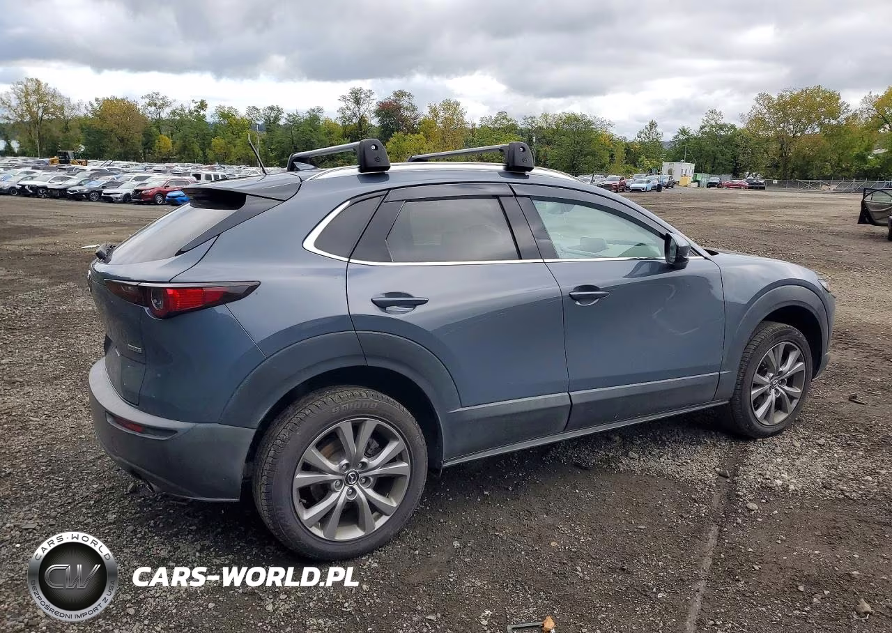 2021 Mazda Cx-30 Premium VIN:3MVDMBDL5MM250860 - 3