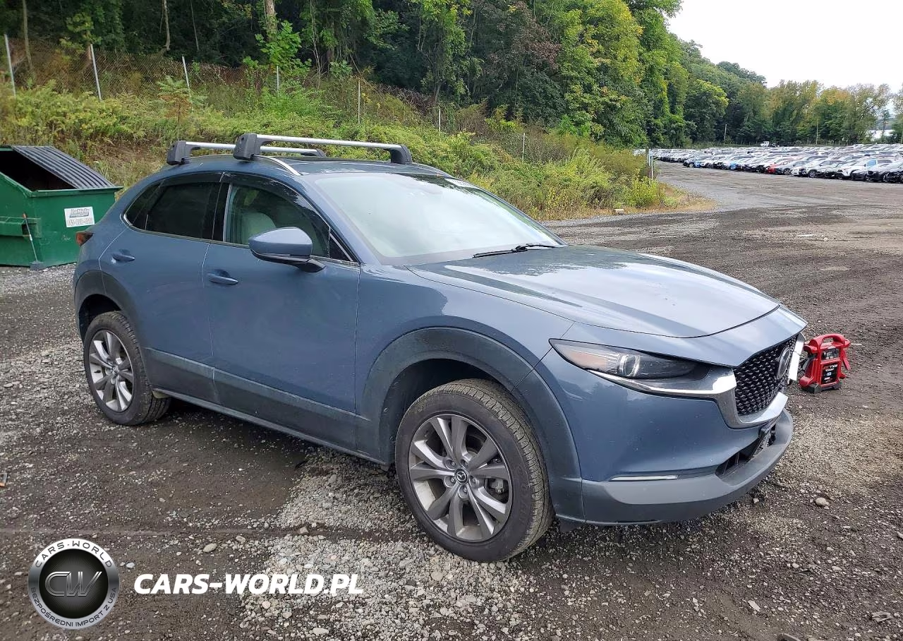 2021 Mazda Cx-30 Premium VIN:3MVDMBDL5MM250860 - 4