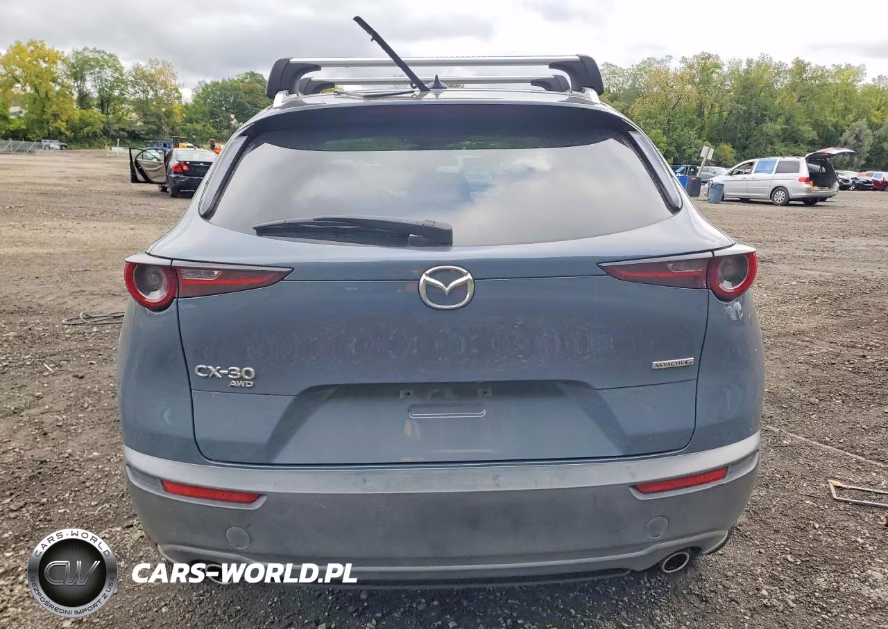 2021 Mazda Cx-30 Premium VIN:3MVDMBDL5MM250860 - 6