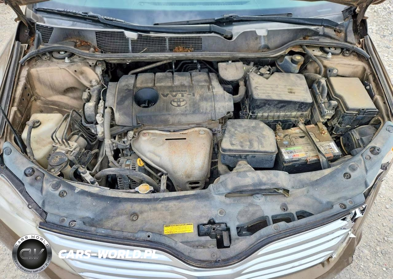 2010 Toyota Venza Fwd 4Cyl VIN:4T3ZA3BB9AU033337 - 12