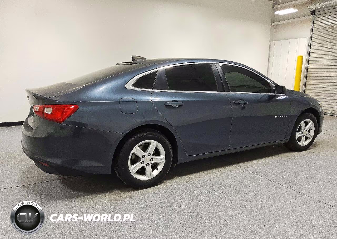 2019 Chevrolet Malibu Ls VIN:1G1ZB5ST0KF226179 - 3