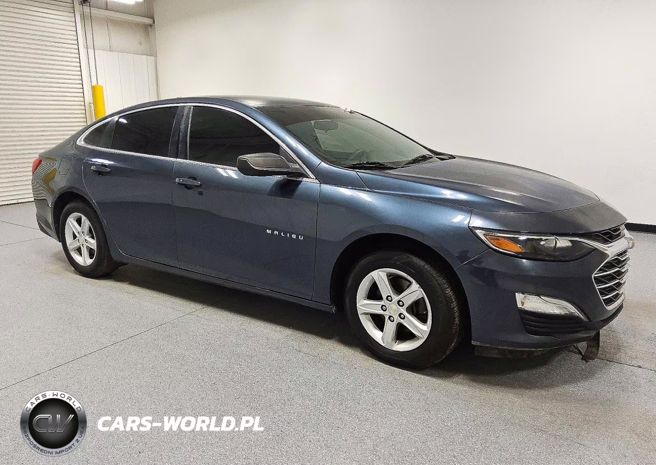 2019 Chevrolet Malibu Ls VIN:1G1ZB5ST0KF226179 - 4