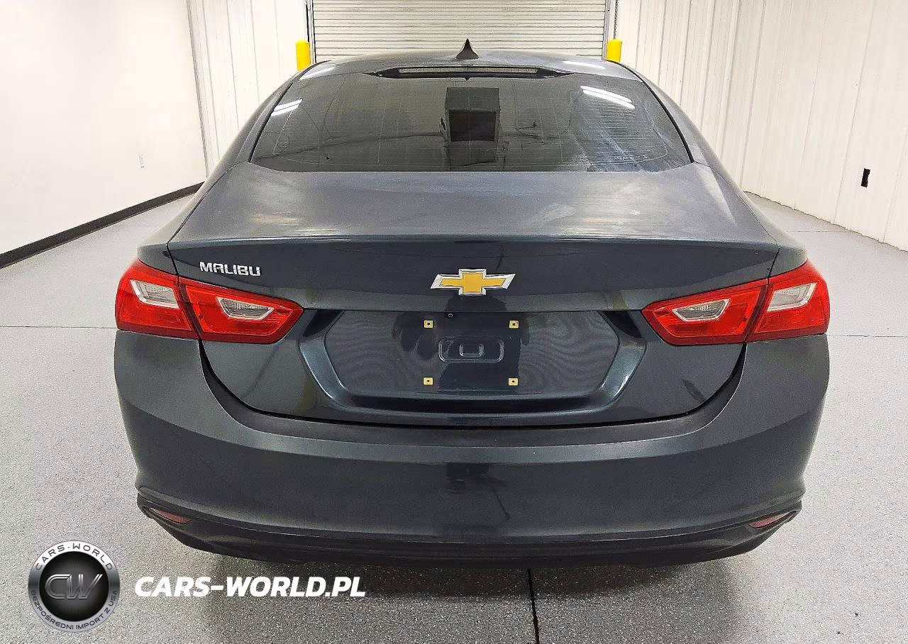 2019 Chevrolet Malibu Ls VIN:1G1ZB5ST0KF226179 - 6