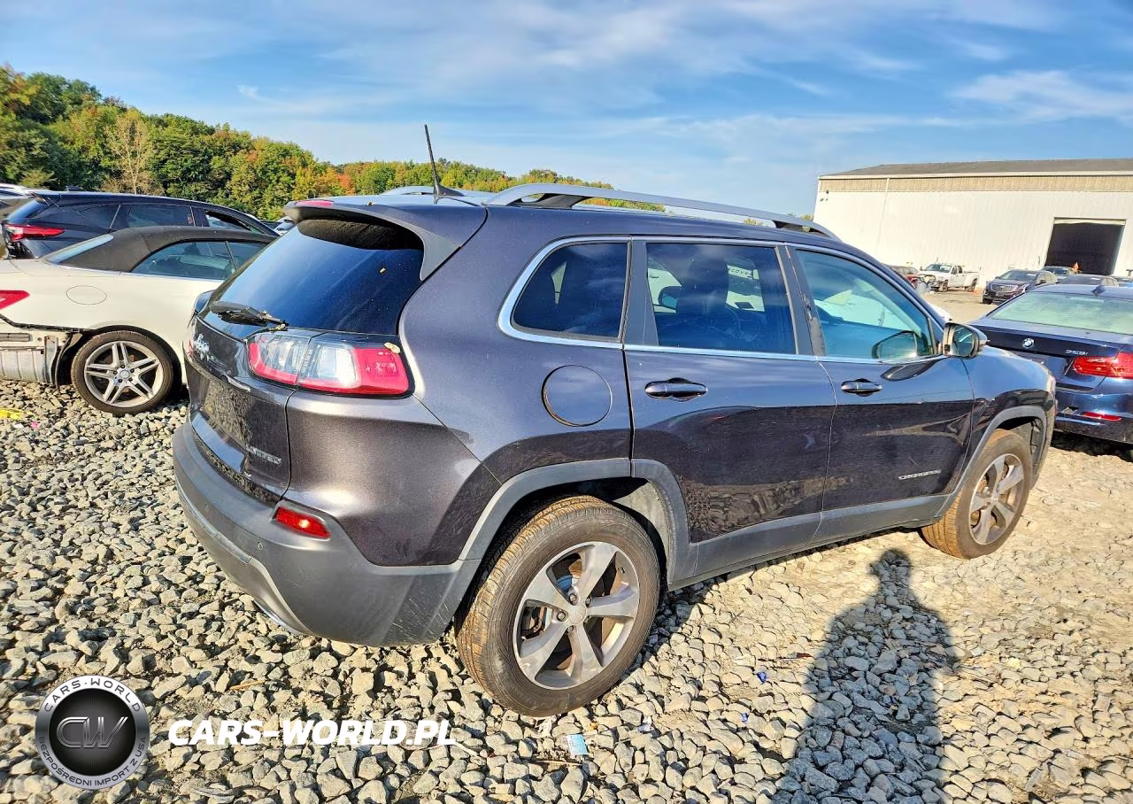 2019 Jeep Cherokee Limited 4X4 VIN:1C4PJMDXXKD446467 - 3