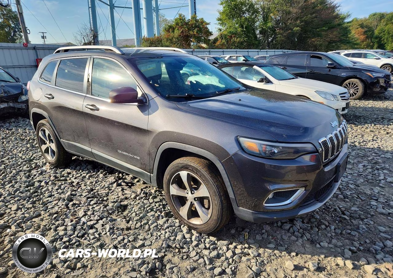 2019 Jeep Cherokee Limited 4X4 VIN:1C4PJMDXXKD446467 - 4