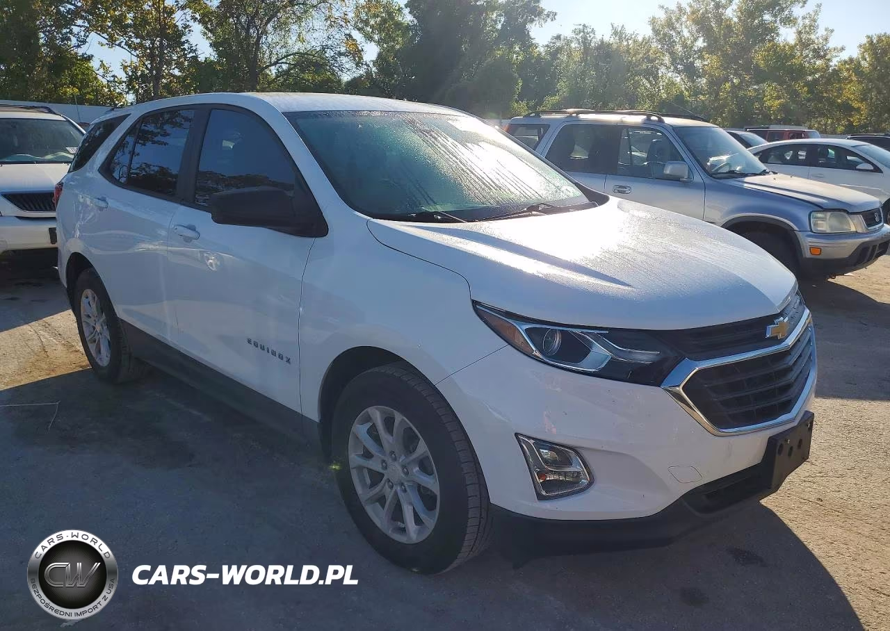 2020 Chevrolet Equinox Ls VIN:3GNAXHEV0LS584911 - 4