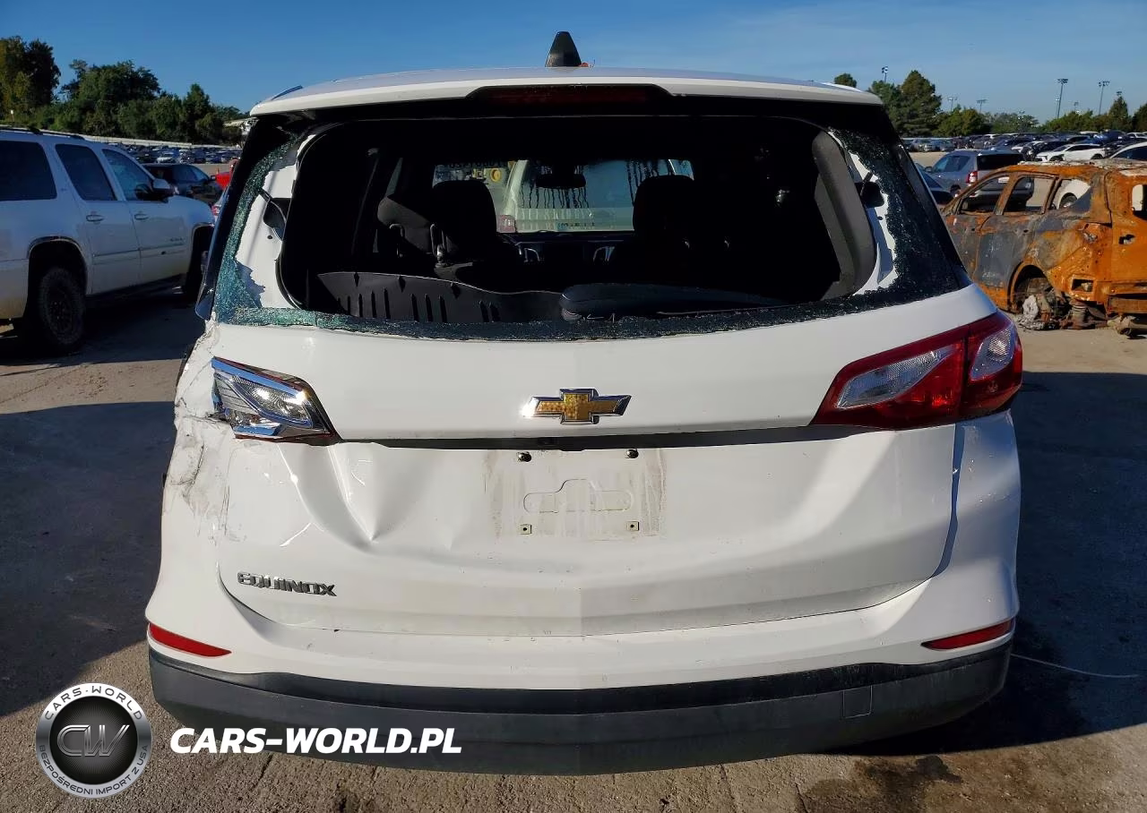 2020 Chevrolet Equinox Ls VIN:3GNAXHEV0LS584911 - 6