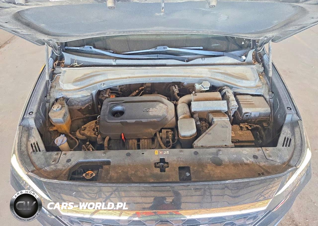 2019 Hyundai Santa Fe Sel 2.4L VIN:5NMS33AD0KH034705 - 12