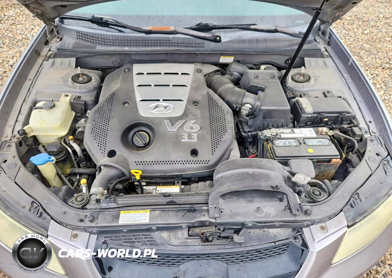 2006 Hyundai Sonata Eco VIN:5NPEU46F16H131950 - 11