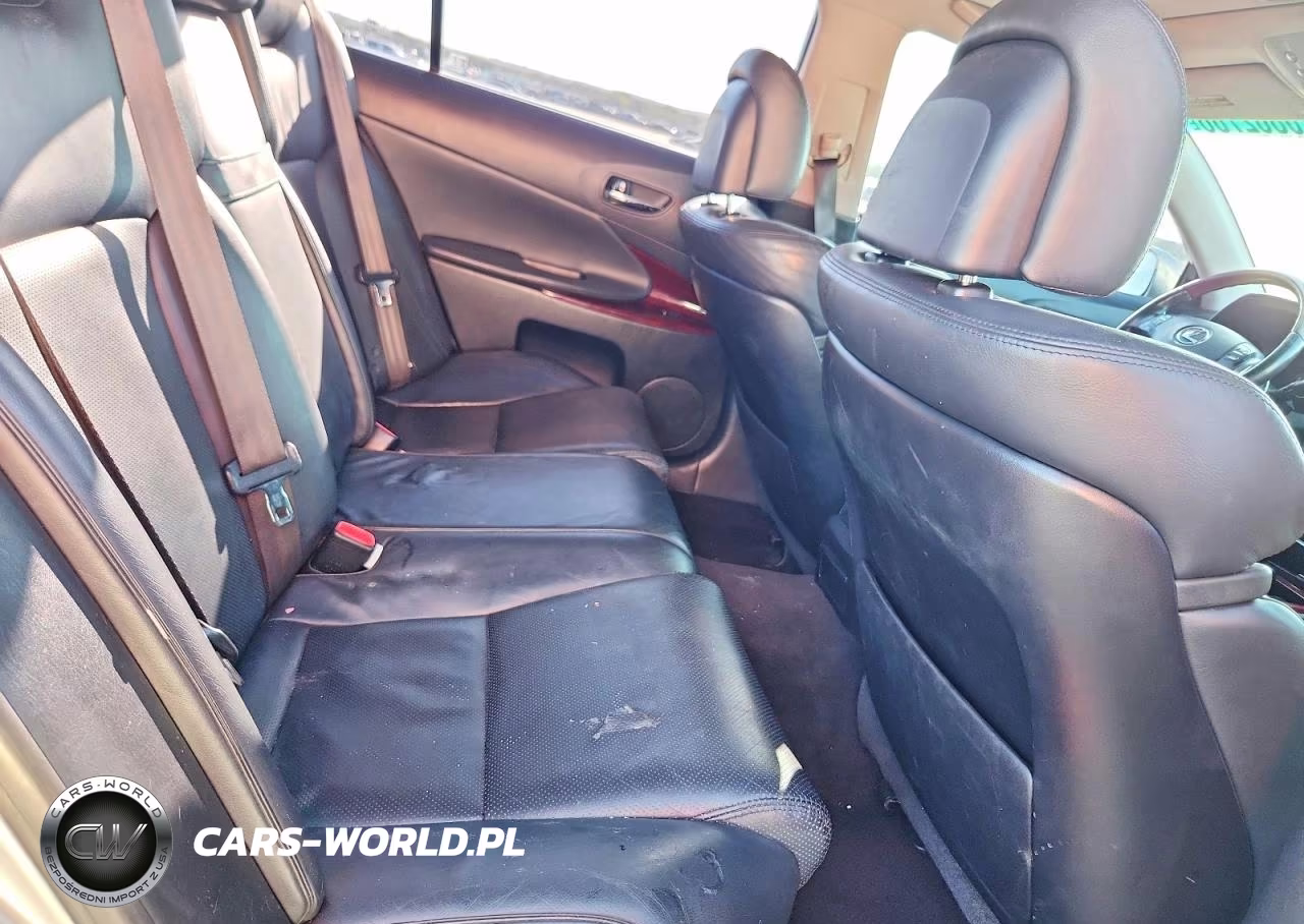 2006 Lexus Gs 300 VIN:JTHBH96S365020025 - 10
