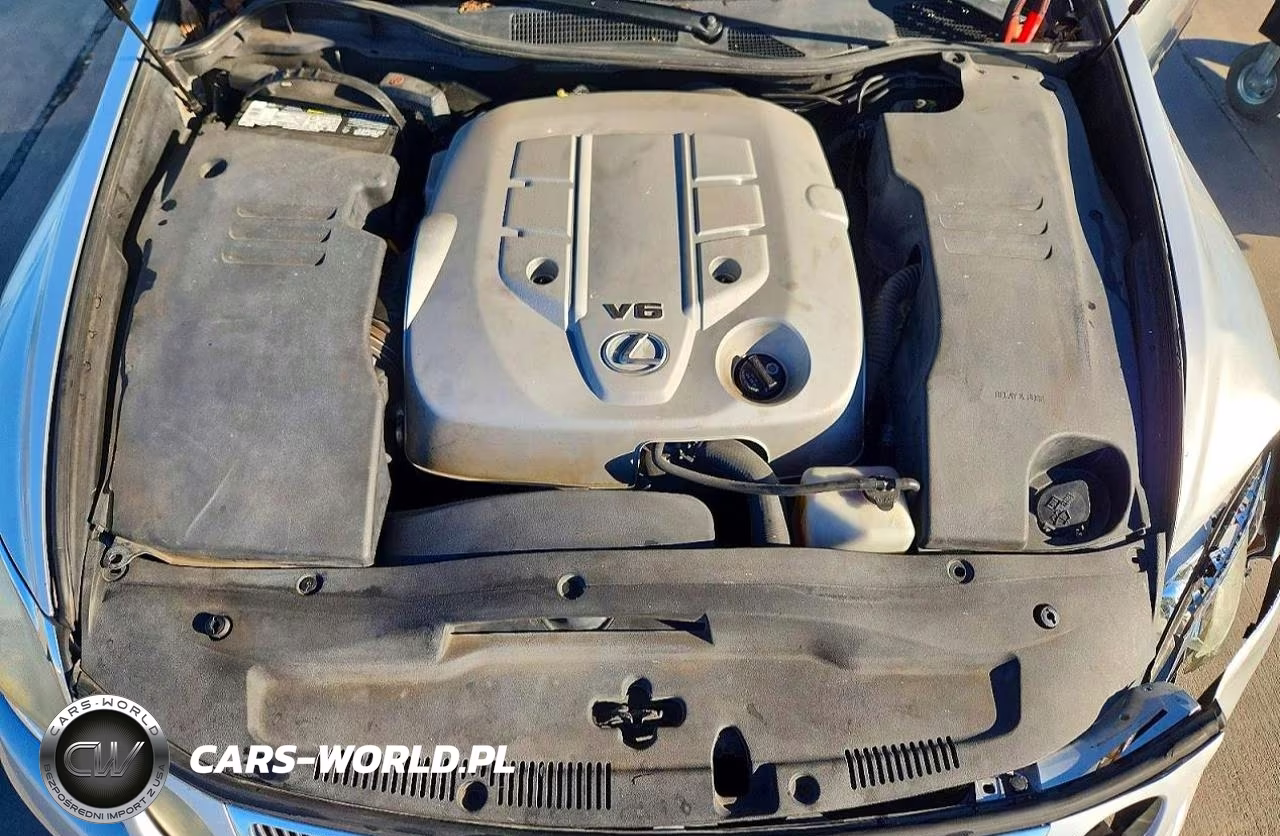 2006 Lexus Gs 300 VIN:JTHBH96S365020025 - 11