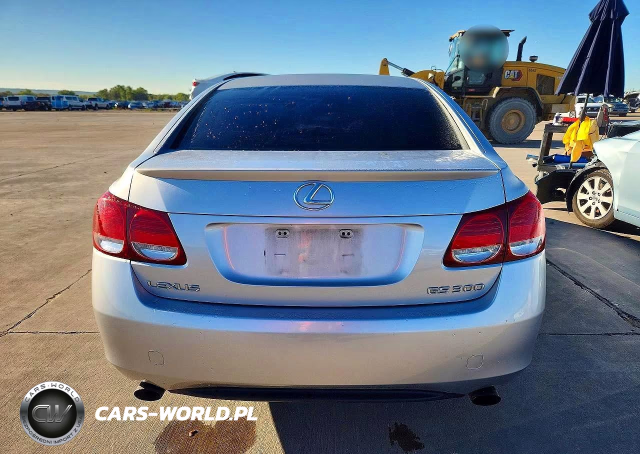 2006 Lexus Gs 300 VIN:JTHBH96S365020025 - 6