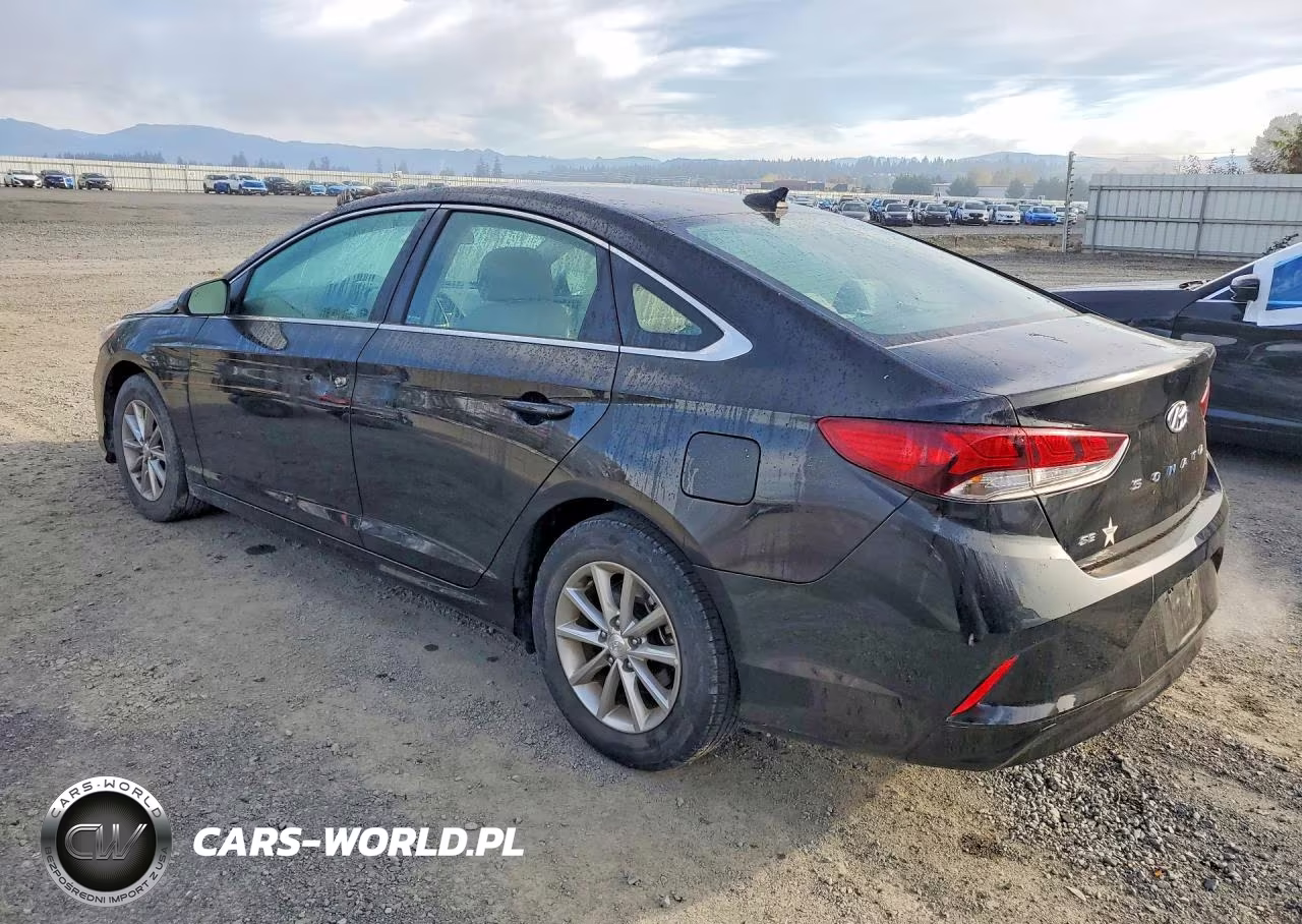 2019 Hyundai Sonata Se VIN:5NPE24AF2KH744702 - 2