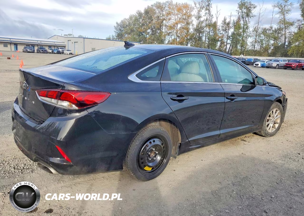 2019 Hyundai Sonata Se VIN:5NPE24AF2KH744702 - 3