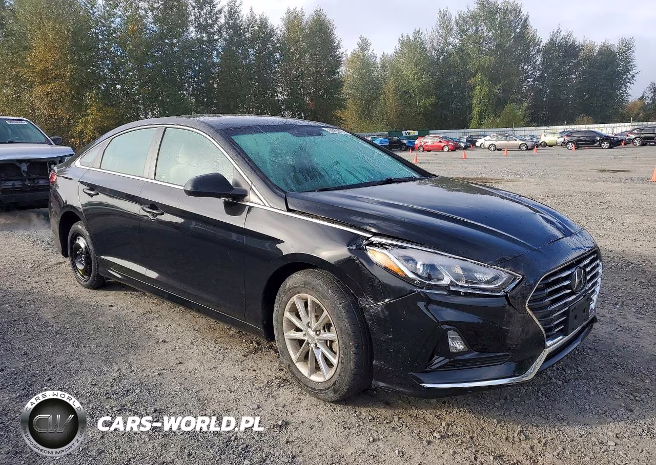 2019 Hyundai Sonata Se VIN:5NPE24AF2KH744702 - 4
