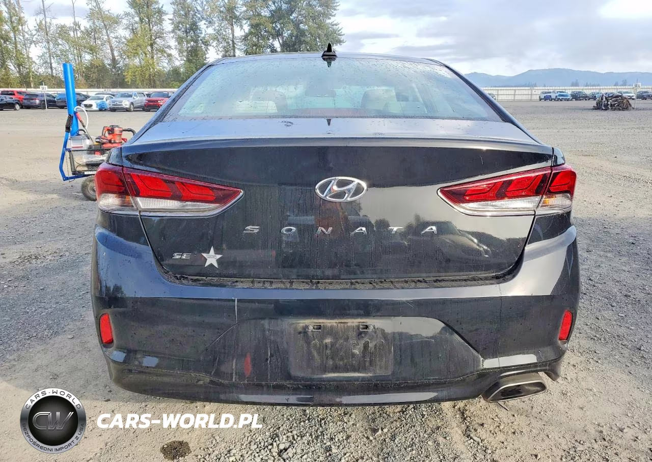 2019 Hyundai Sonata Se VIN:5NPE24AF2KH744702 - 6