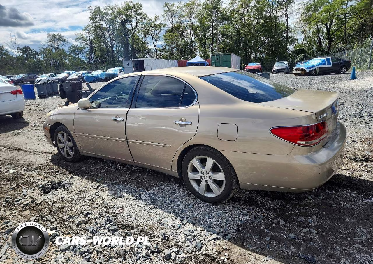 2005 Lexus Es 330 VIN:JTHBA30G055131152 - 2