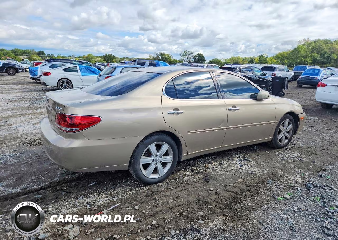 2005 Lexus Es 330 VIN:JTHBA30G055131152 - 3