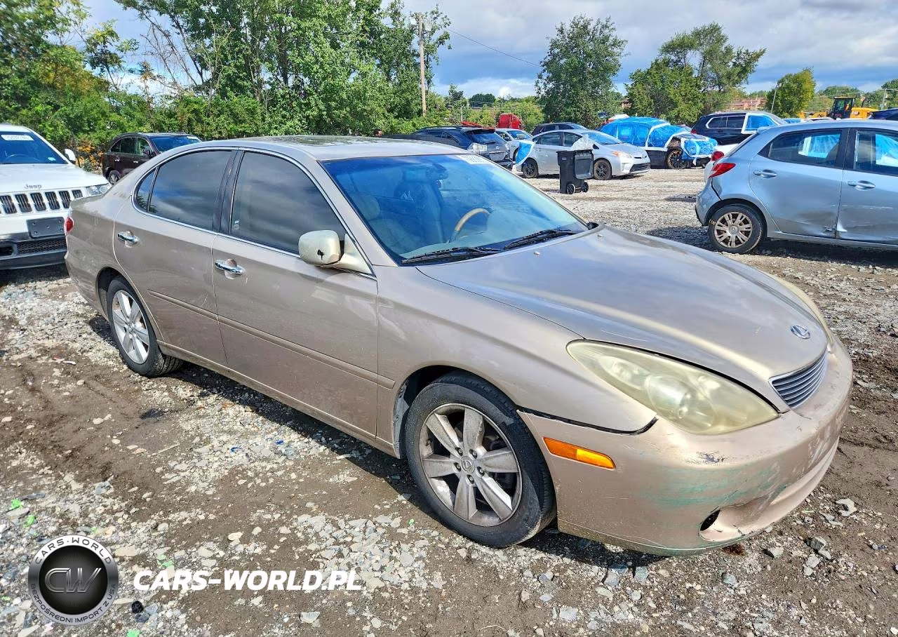 2005 Lexus Es 330 VIN:JTHBA30G055131152 - 4