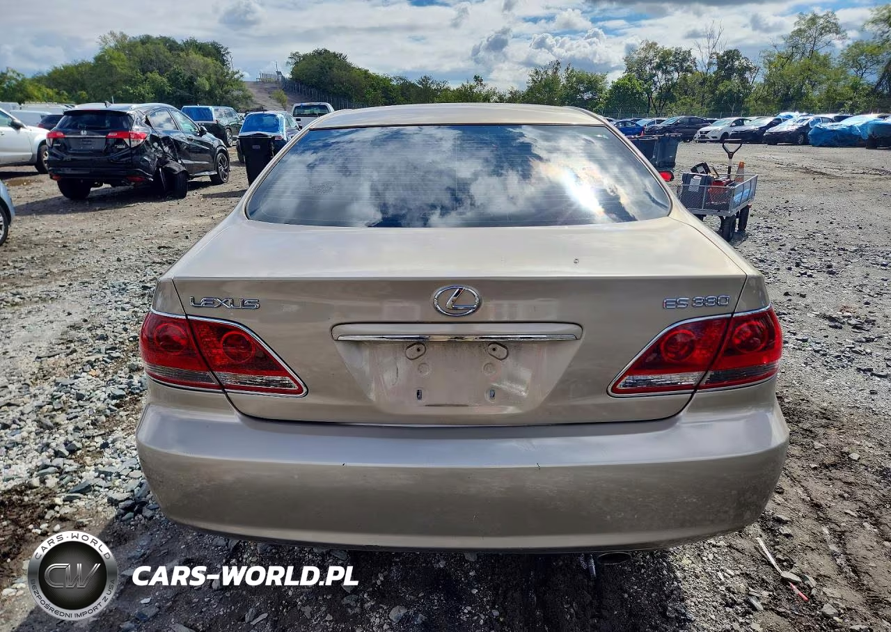 2005 Lexus Es 330 VIN:JTHBA30G055131152 - 6