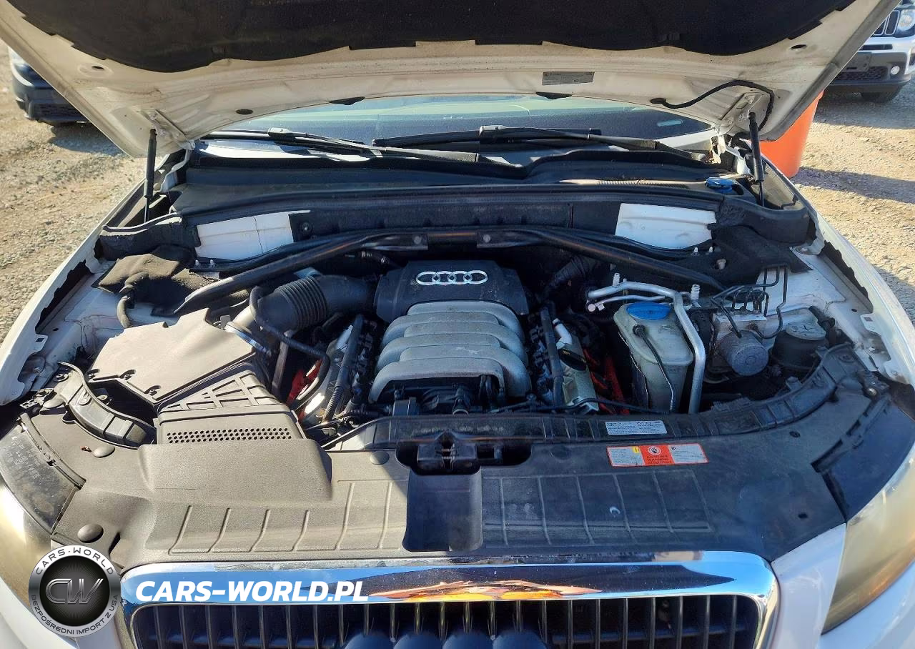 2009 Audi Q5 3.2 VIN:WA1KK78R59A055723 - 12