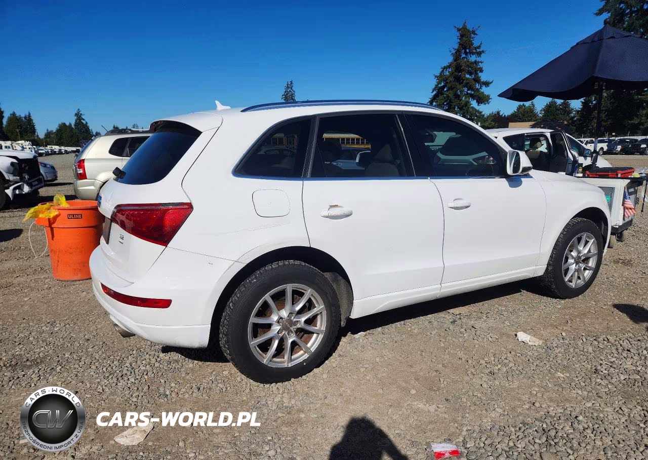 2009 Audi Q5 3.2 VIN:WA1KK78R59A055723 - 3