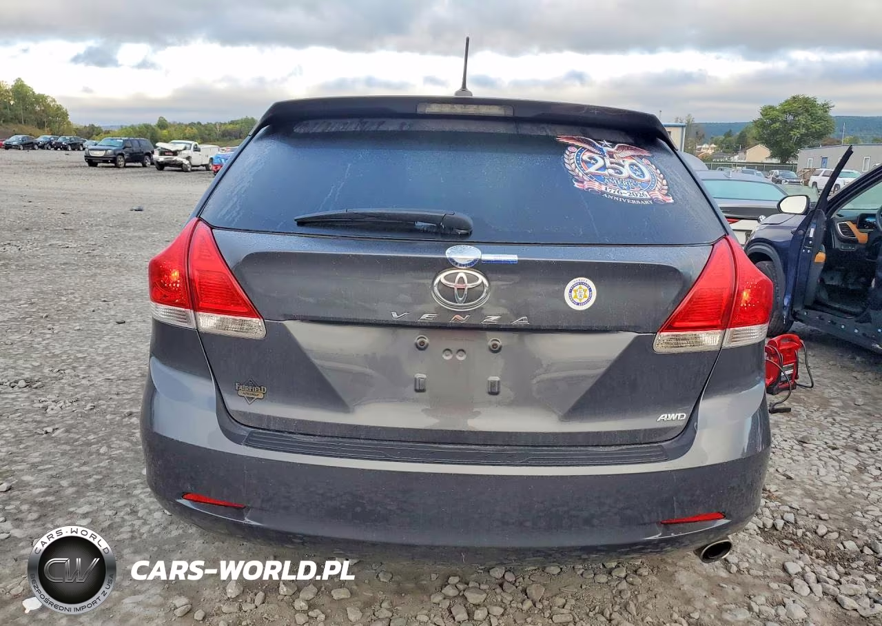 2010 Toyota Venza Awd 4Cyl VIN:4T3BA3BB3AU017720 - 6