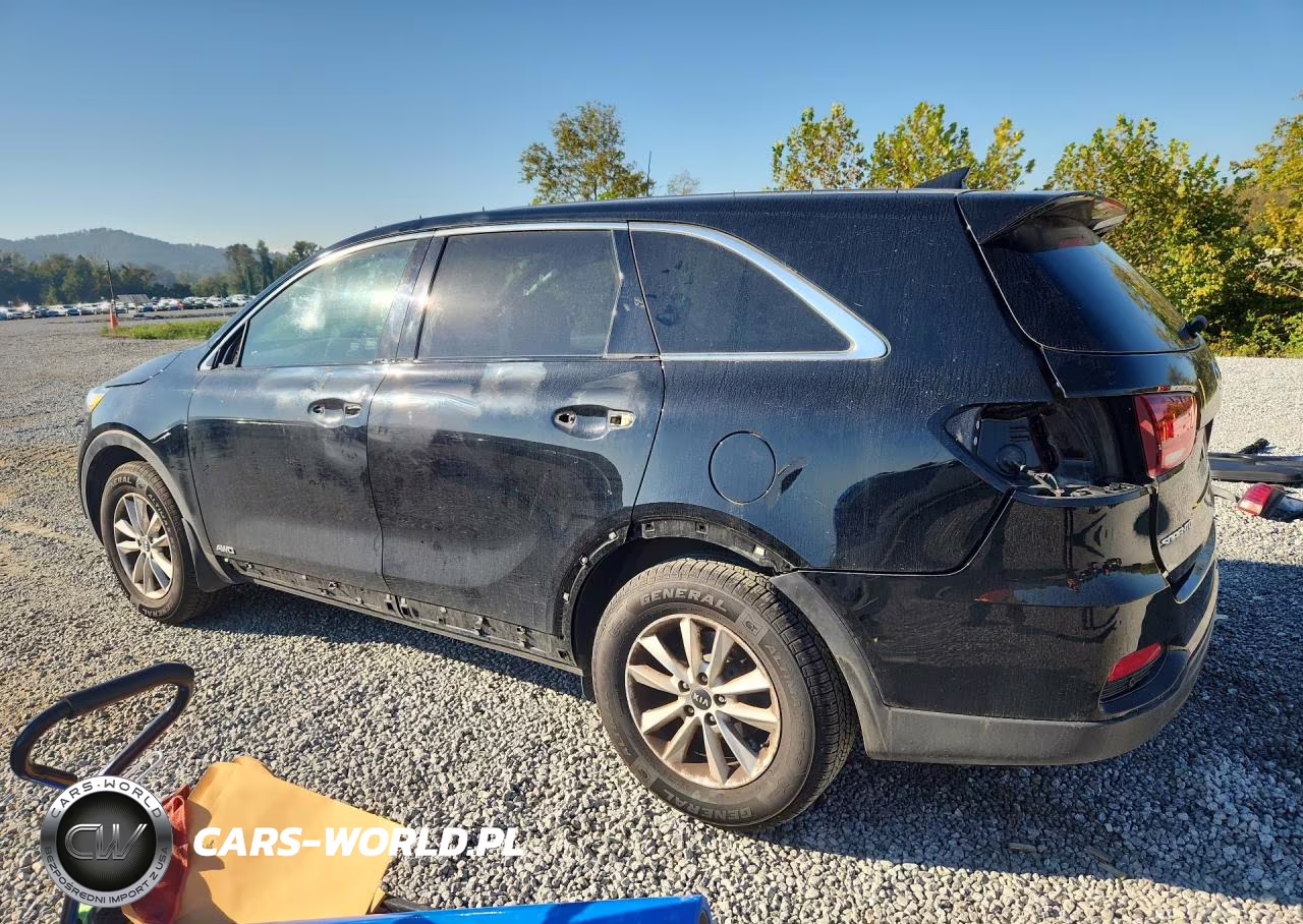 2019 Kia Sorento Lx VIN:5XYPGDA30KG590093 - 2
