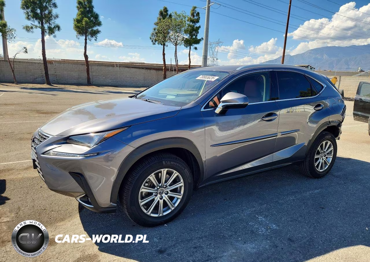 2020 Lexus Nx 300 Base VIN:JTJAARBZ5L5014286 - 1