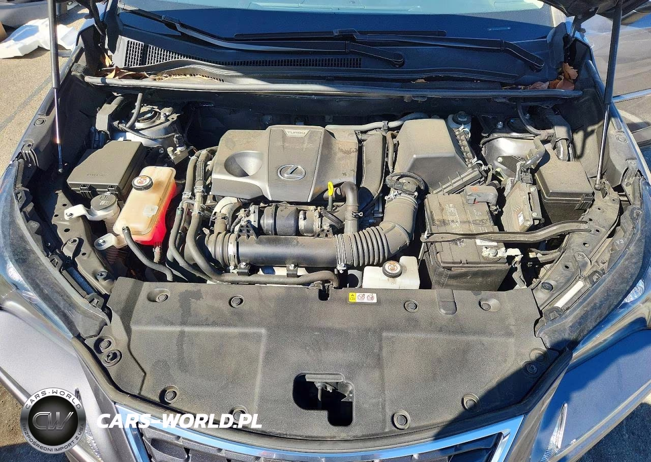 2020 Lexus Nx 300 Base VIN:JTJAARBZ5L5014286 - 12