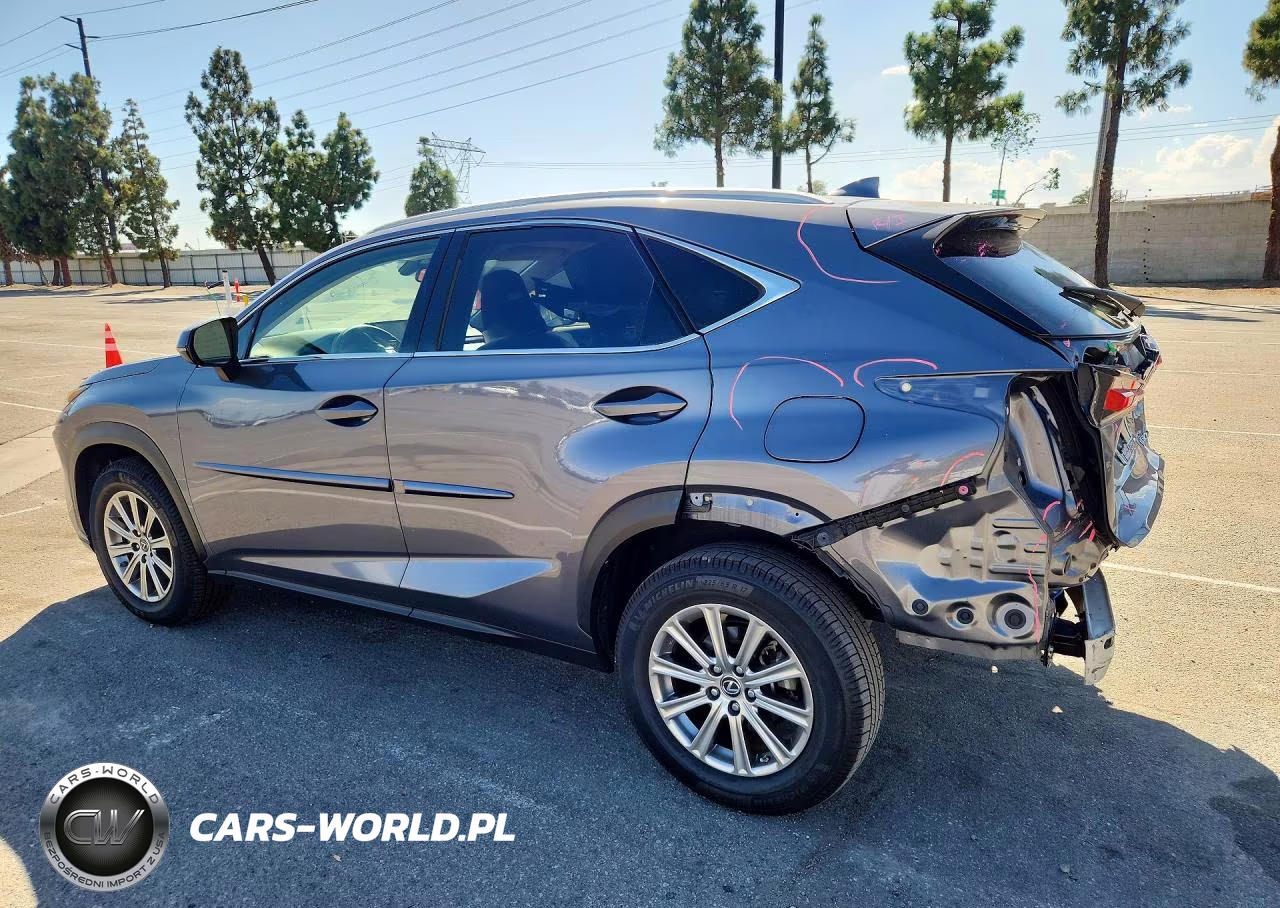 2020 Lexus Nx 300 Base VIN:JTJAARBZ5L5014286 - 2