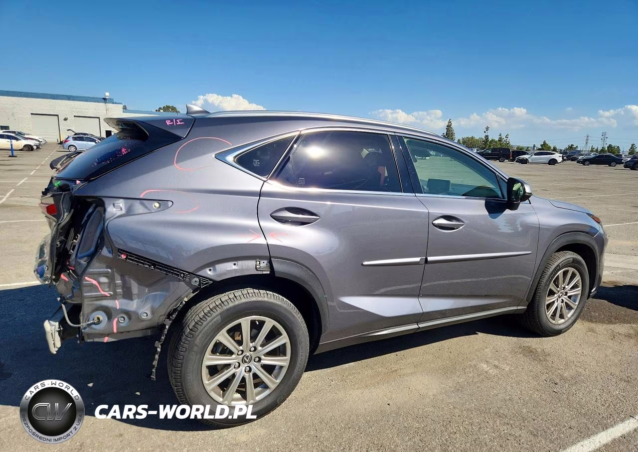 2020 Lexus Nx 300 Base VIN:JTJAARBZ5L5014286 - 3