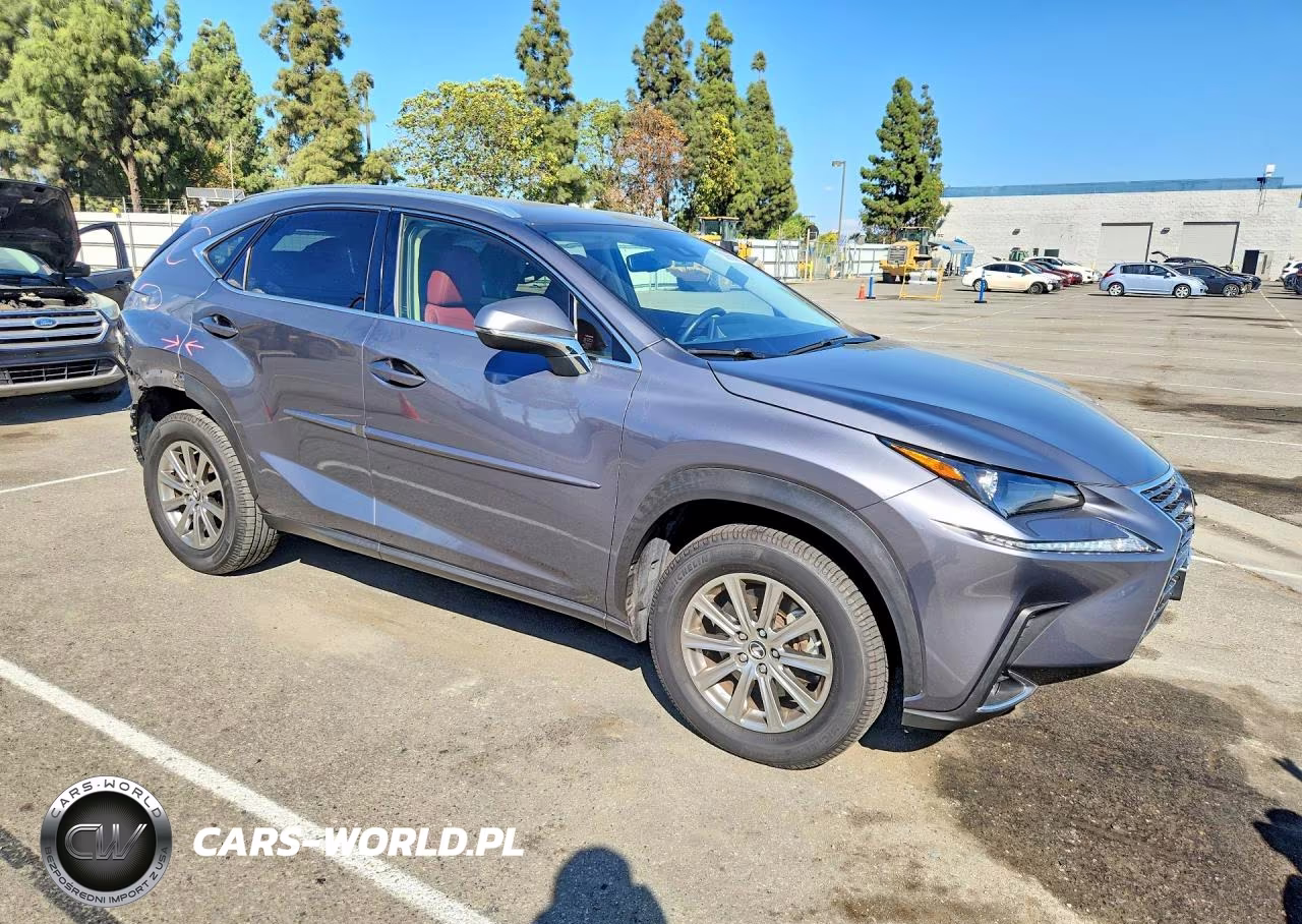 2020 Lexus Nx 300 Base VIN:JTJAARBZ5L5014286 - 4