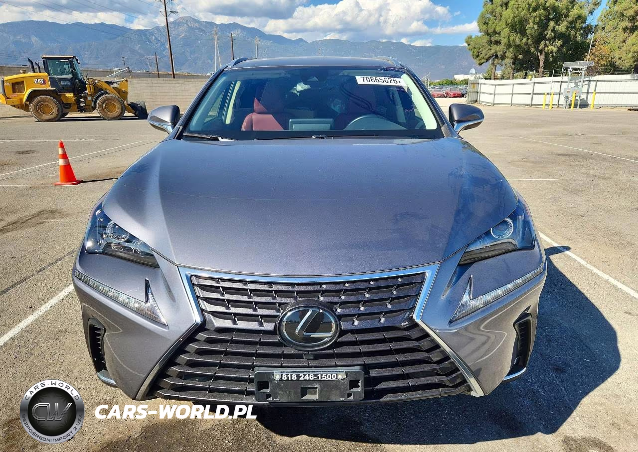 2020 Lexus Nx 300 Base VIN:JTJAARBZ5L5014286 - 5