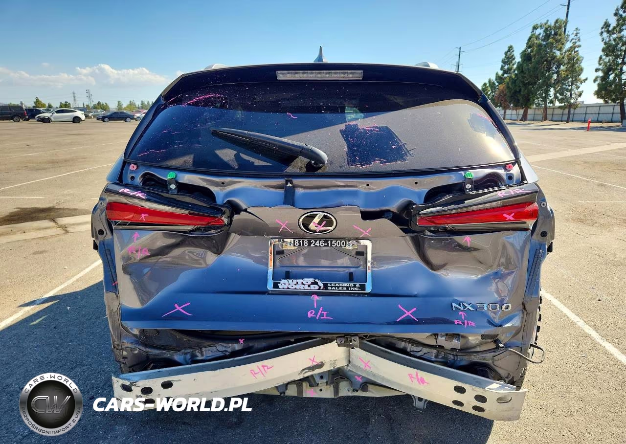 2020 Lexus Nx 300 Base VIN:JTJAARBZ5L5014286 - 6